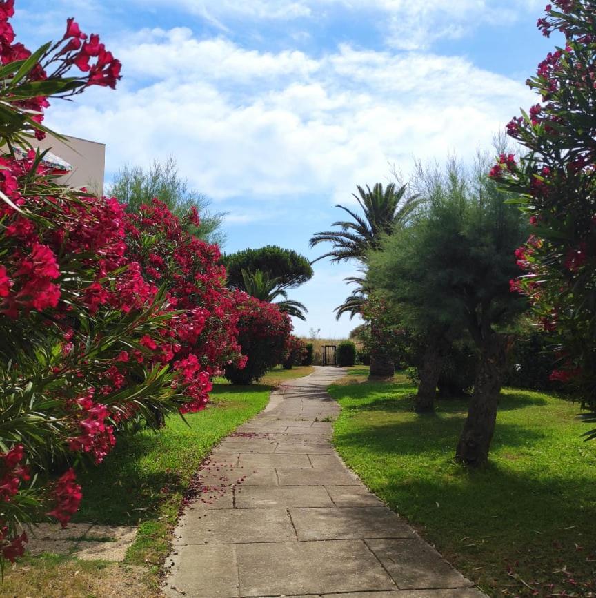LES CAPITELLES - Accès direct à la plage depuis le jardin Saint-Cyprien  Extérieur photo
